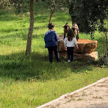 Casas Da Ladeia - Villa 1 Alvorge Kültér fotó